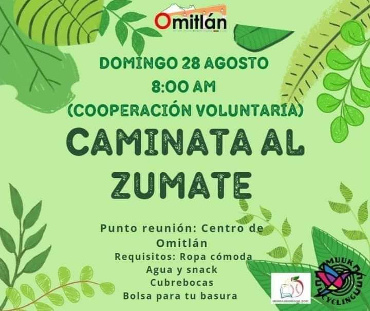 Bosque Y Vistas Espectaculares Invitan A Caminata Guiada Al Zumate En