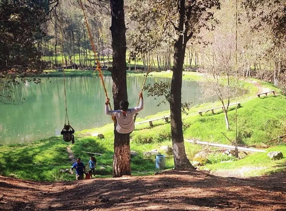 As Es El Zembo Un Bosque M Gico De Huasca