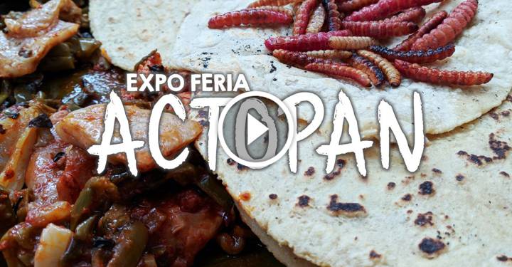 Para barbacoa y ximbo, los de Actopan