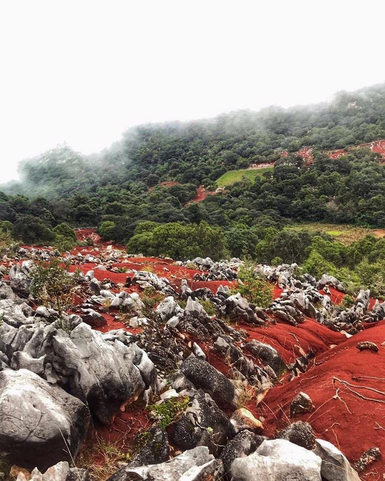 Como de otro planeta 👨‍🚀 así son las sorprendentes Dunas Rojas de Hidalgo