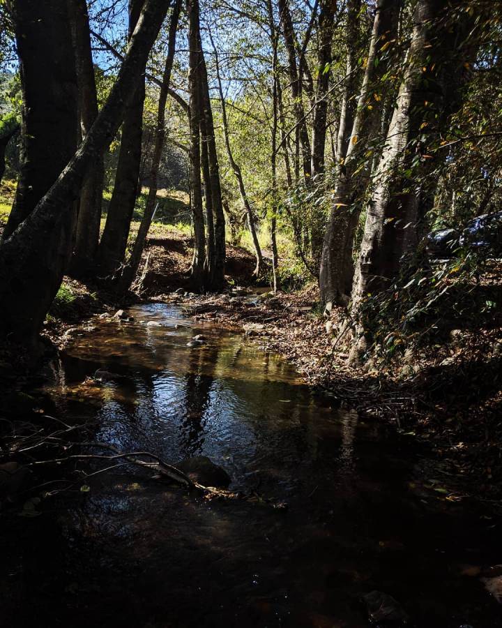 Así es El Zembo, un bosque mágico de Huasca