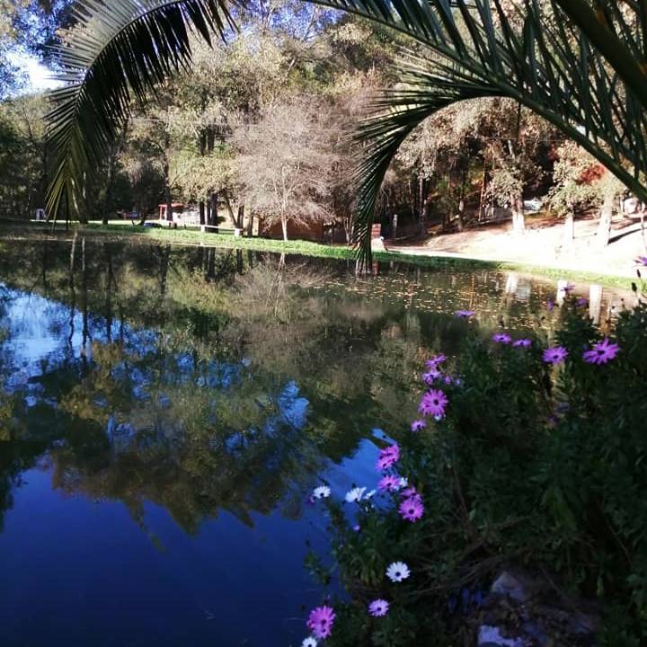 Así es El Zembo, un bosque mágico de Huasca