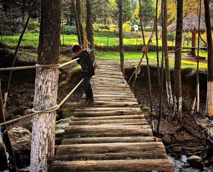 Así es El Zembo, un bosque mágico de Huasca