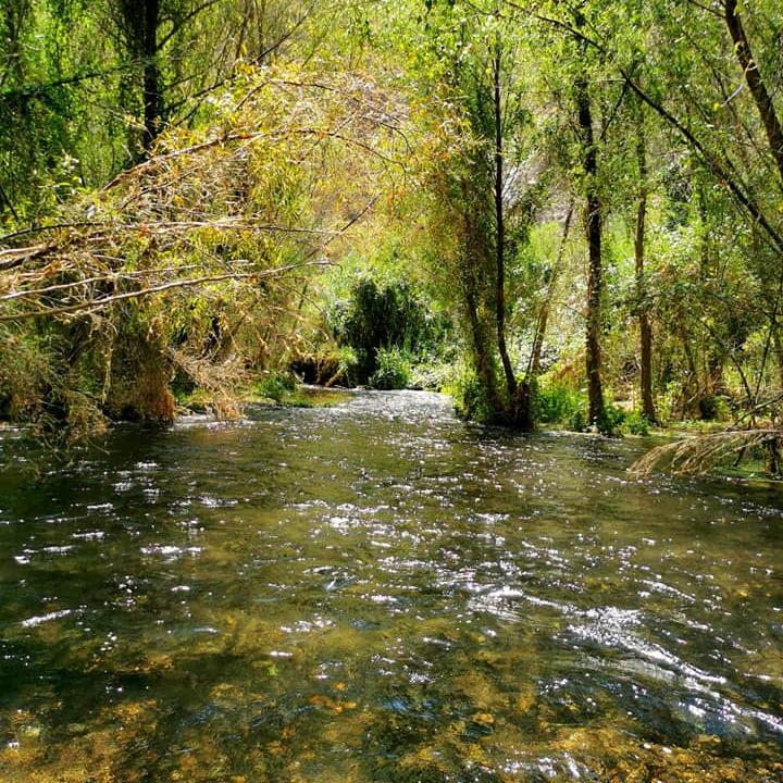 Xajhá: el paraíso de aguas termales escondido entre cañadas y grutas en Hidalgo