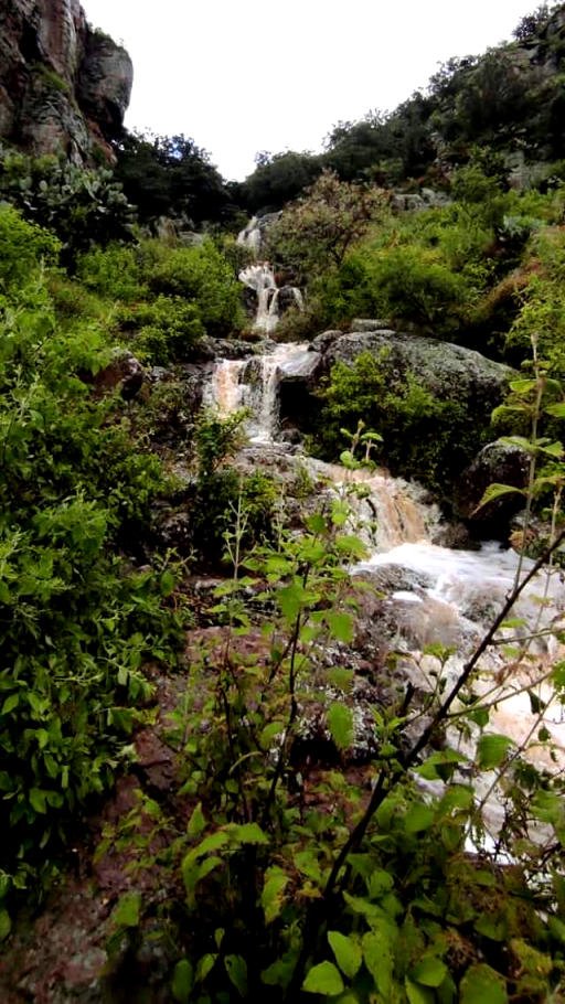 Ciclón Grace creó una bella cascada en esta zona arqueológica de Hidalgo