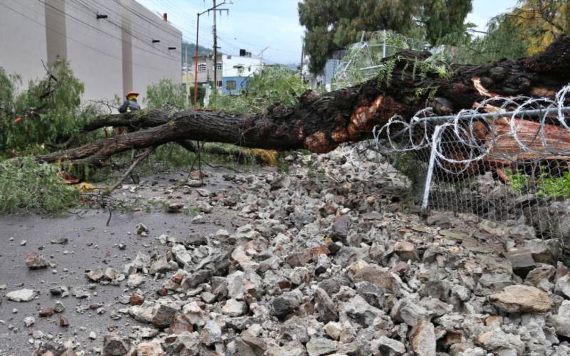 #Fotos: Bardas y árboles colapsados, autos dañados, socavones: las afectaciones en Pachuca por el clima