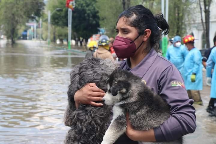 #Galería: Los héroes en la zona de desastre