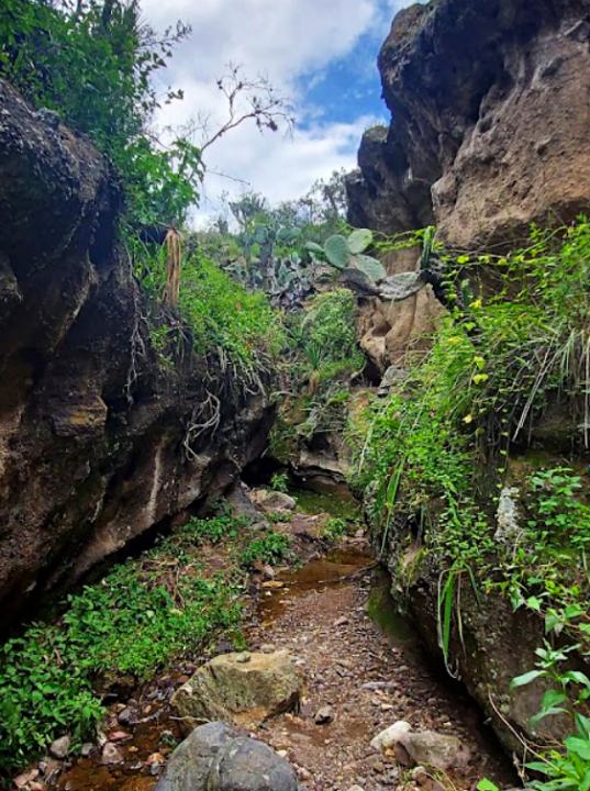 La Colmena, una bella cañada a minutos de Pachuca