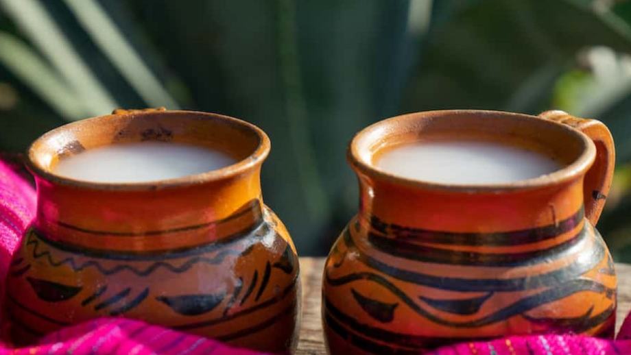 Gastronomía, artesanía y pulque: Festival Diosa Mayahuel, cerca de Pachuca