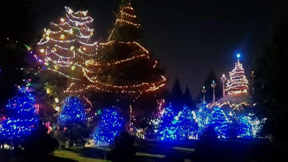 Pachuca tendrá su bosque iluminado navideño