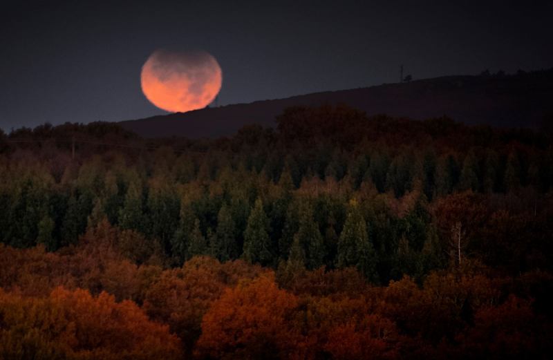 #Fotos: Así se vio el eclipse de Luna en México y en varias partes del mundo