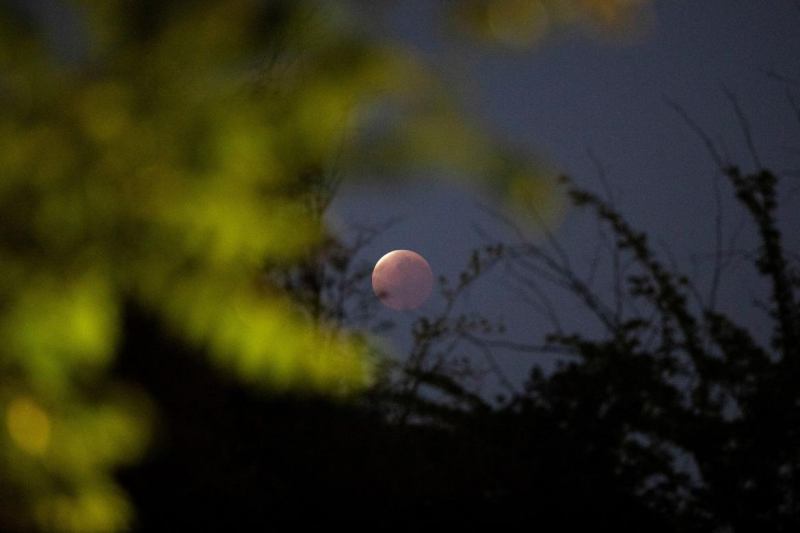 #Fotos: Así se vio el eclipse de Luna en México y en varias partes del mundo