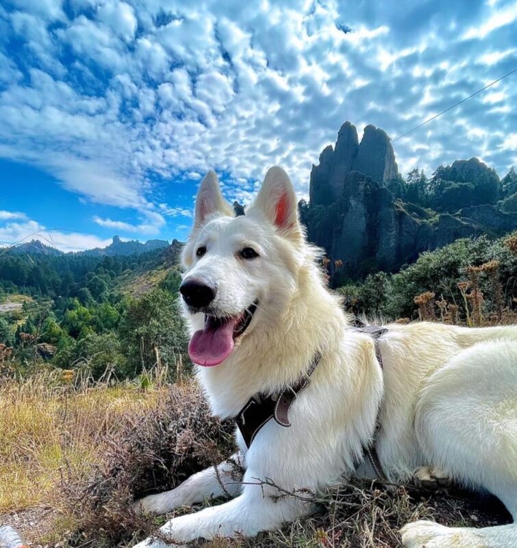 Valle Diego Mateo, todo lo que debes saber de este bello rincón de Hidalgo