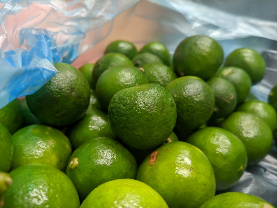 Precio del limón en Pachuca, por las nubes: hasta 80 pesos el kilo