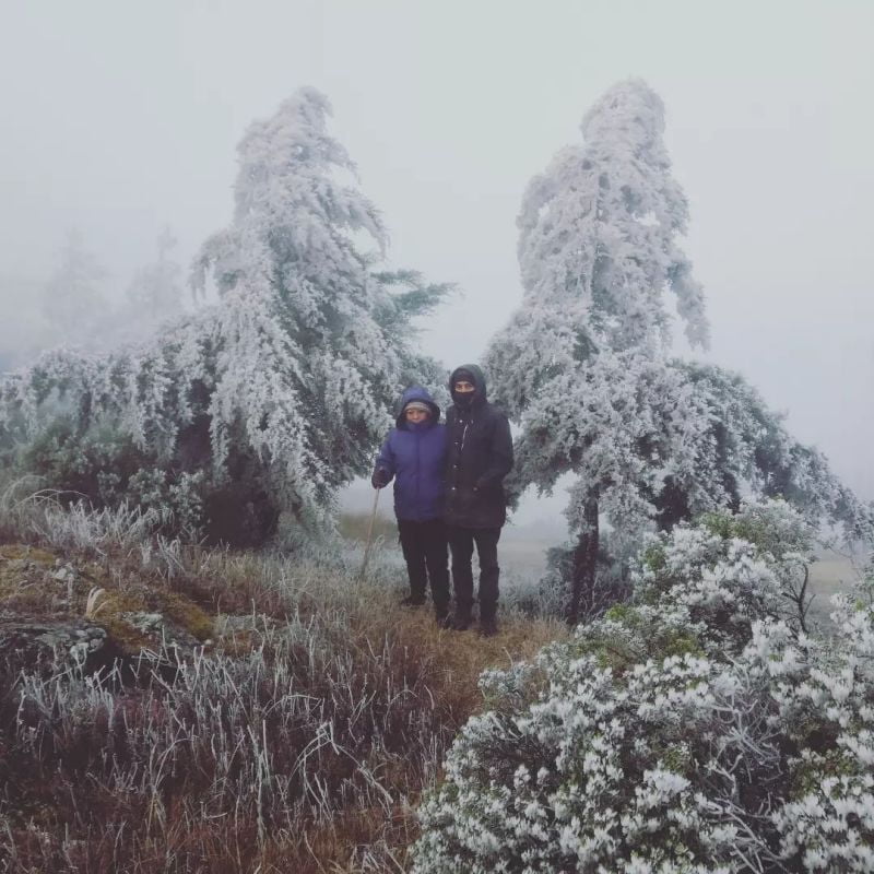 Se tiñó de blanco: se registran heladas y nevadas en Hidalgo