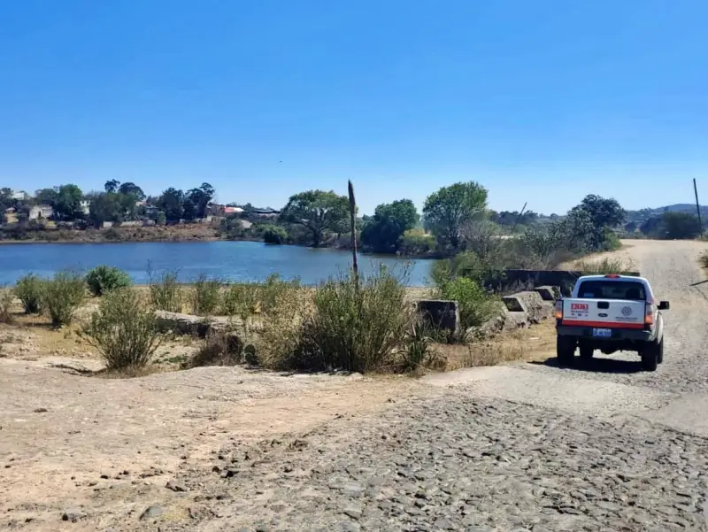 Aparece cocodrilo en ranchería de Hidalgo; autoridades piden no acercarse