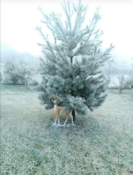 Se tiñó de blanco: se registran heladas y nevadas en Hidalgo