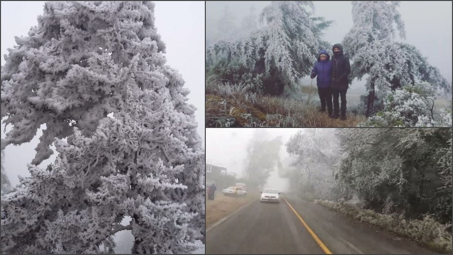 Se tiñó de blanco: se registran heladas y nevadas en Hidalgo