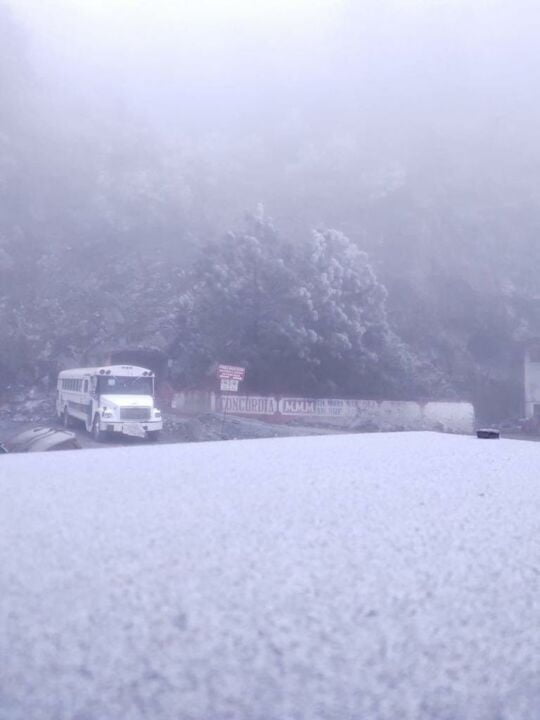 Se tiñó de blanco: se registran heladas y nevadas en Hidalgo