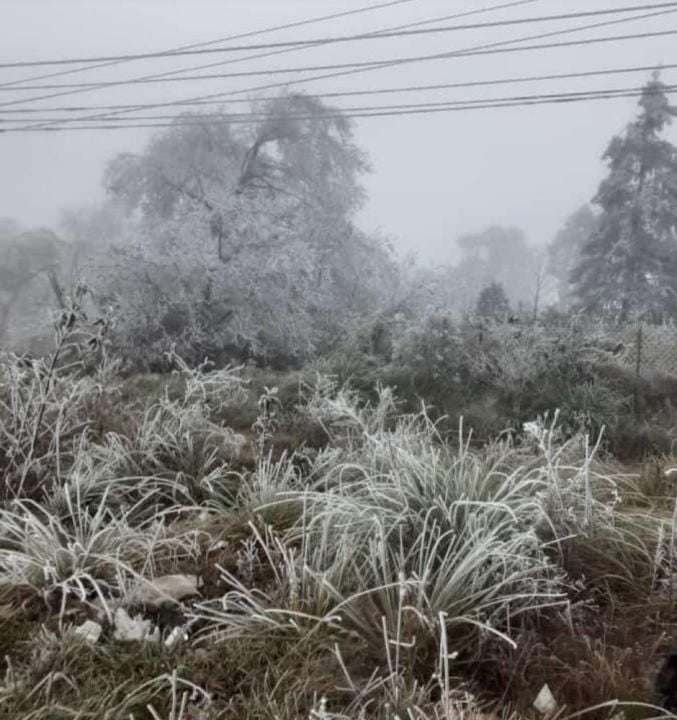 Se tiñó de blanco: se registran heladas y nevadas en Hidalgo