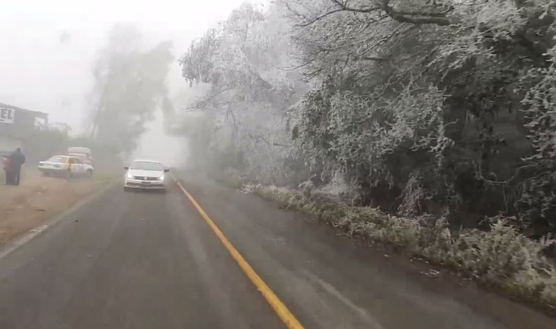 Se tiñó de blanco: se registran heladas y nevadas en Hidalgo