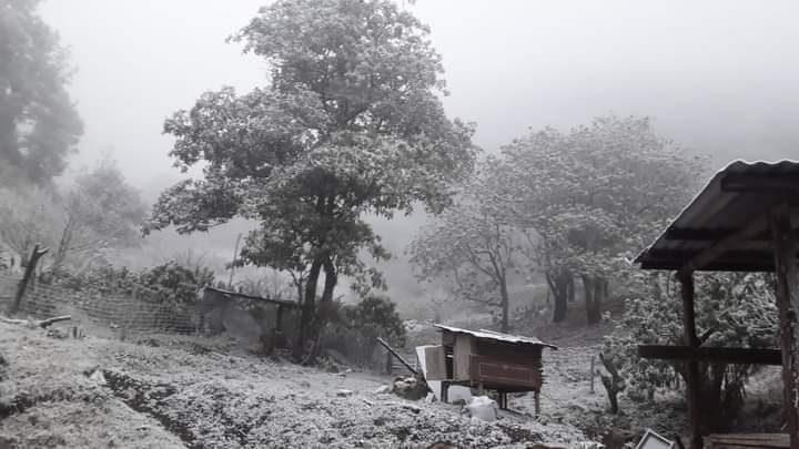 Se tiñó de blanco: se registran heladas y nevadas en Hidalgo