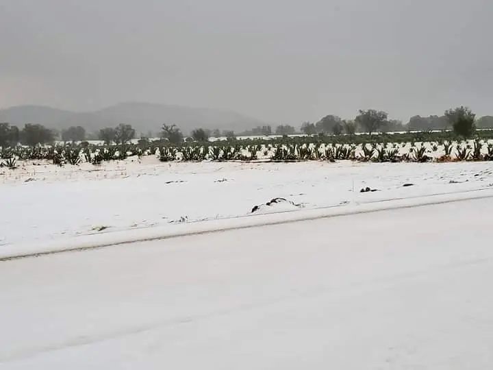 #Granizada: Se pinta de blanco la Pachuca - Ciudad Sahagún (fotos)