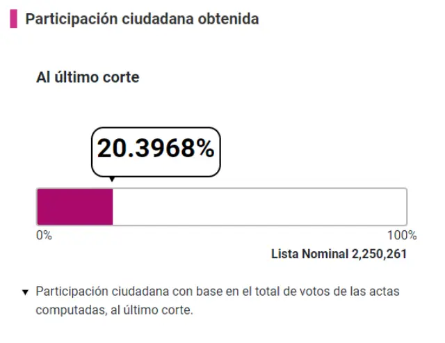 Hidalgo, de los estados con mayor participación en la consulta; así se votó en la entidad