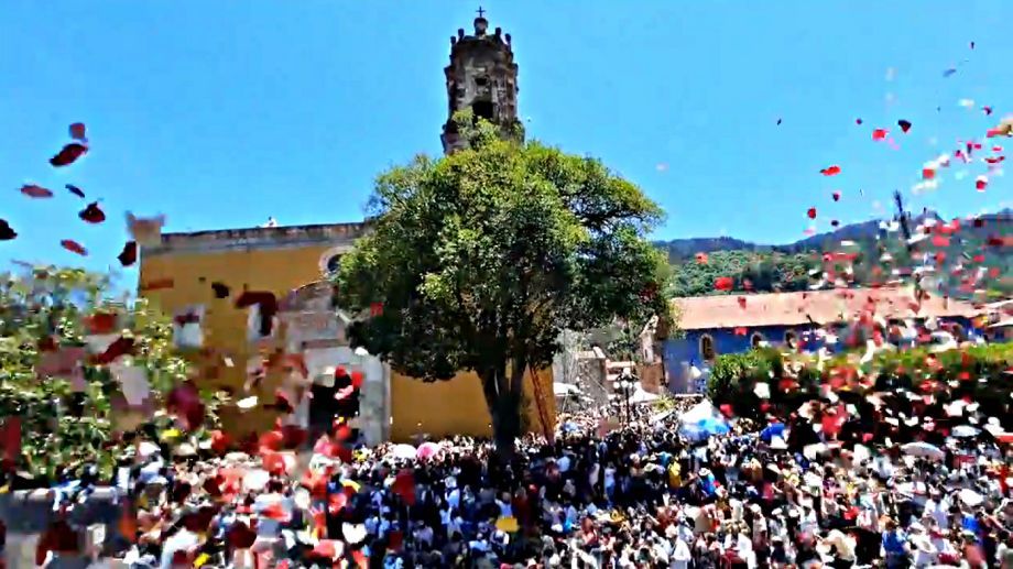 #Video: Así se vivió el regreso de la 'lluvia de pétalos' en Mineral del Chico