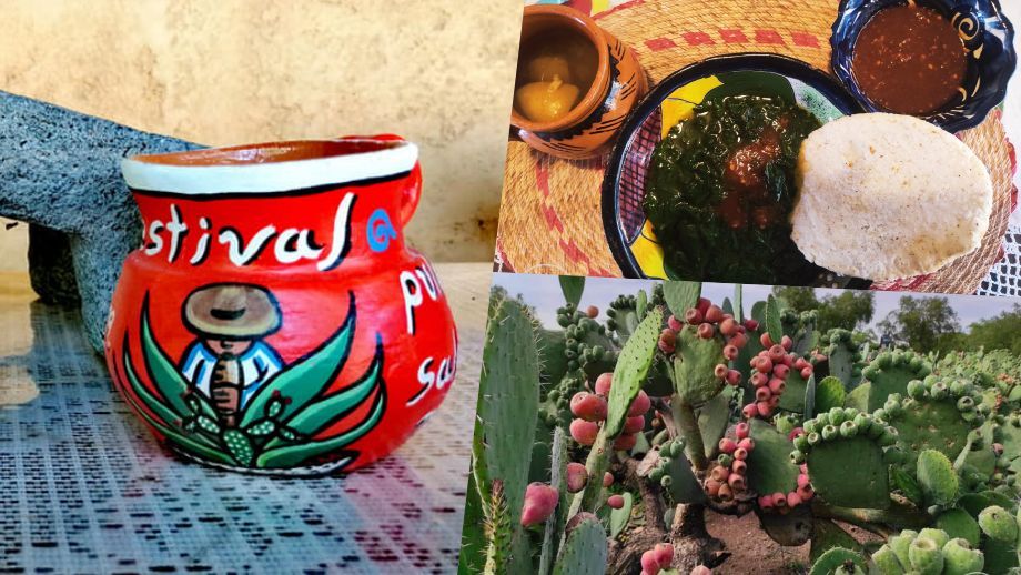 Se acerca el Festival del Pulque la Salsa y el Nopal en Hidalgo