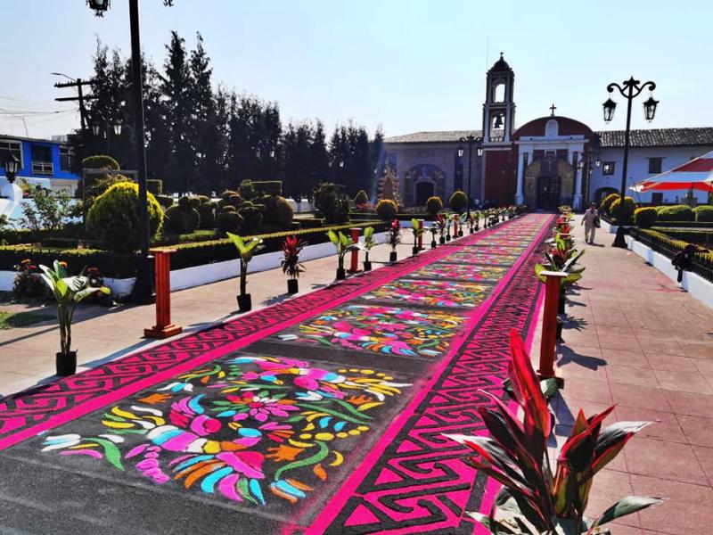 Llegó la época de las hermosas alfombras multicolor de Acaxochitlán