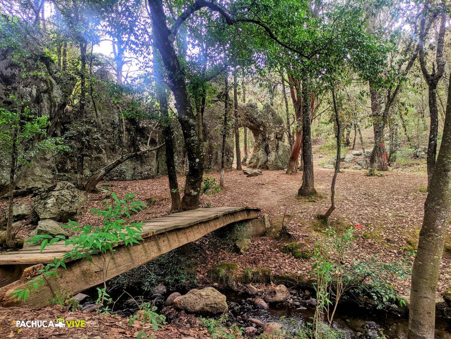 #ElArquito 🏞️ El parque con una curiosa formación rocosa escondida en el bosque de Huasca