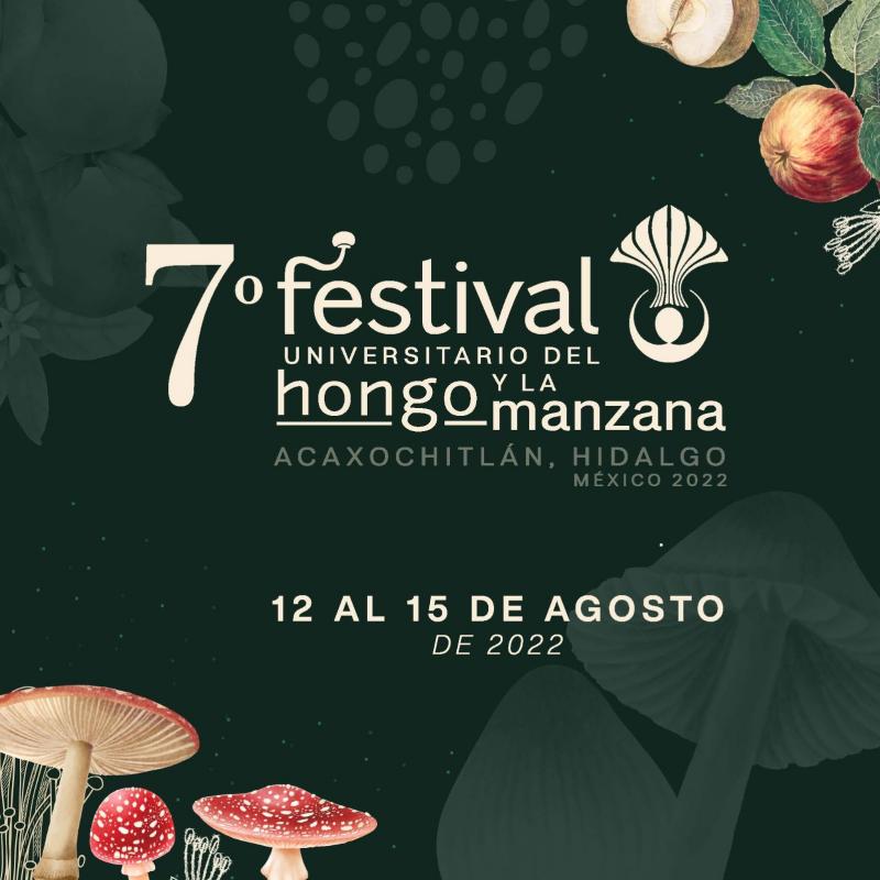 Este bello pueblo de Hidalgo tendrá festival del hongo y la manzana