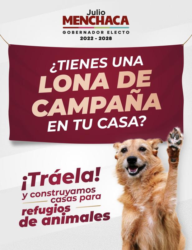 Construirán casas con lonas de campaña para refugios de peluditos en Pachuca