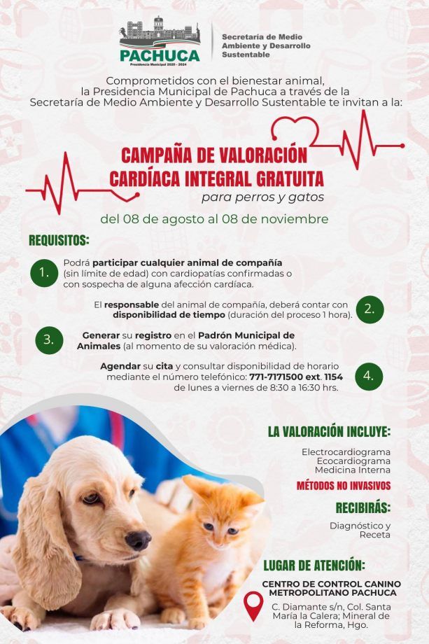 Valoración cardiaca gratuita para perros y gatos, a partir de este lunes en Pachuca