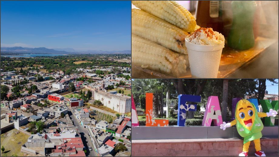 El elote y el esquite tendrán su primer festival en Hidalgo, el próximo finde