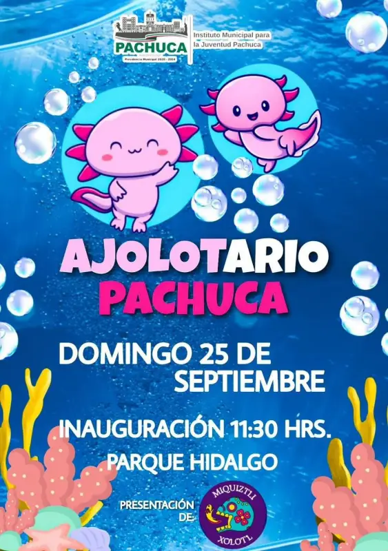 Ajolotario de Pachuca tendrá exhibición en el parque Hidalgo