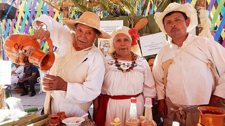 Se acerca uno de los festivales gastronómicos y pulqueros más importantes de Hidalgo