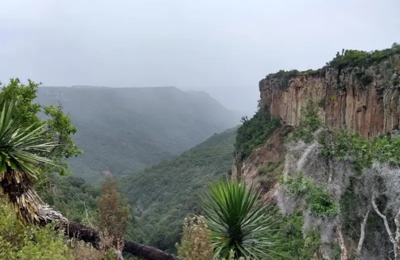 Barranca de Aguacatitla, aventúrate en los otros prismas de Huasca