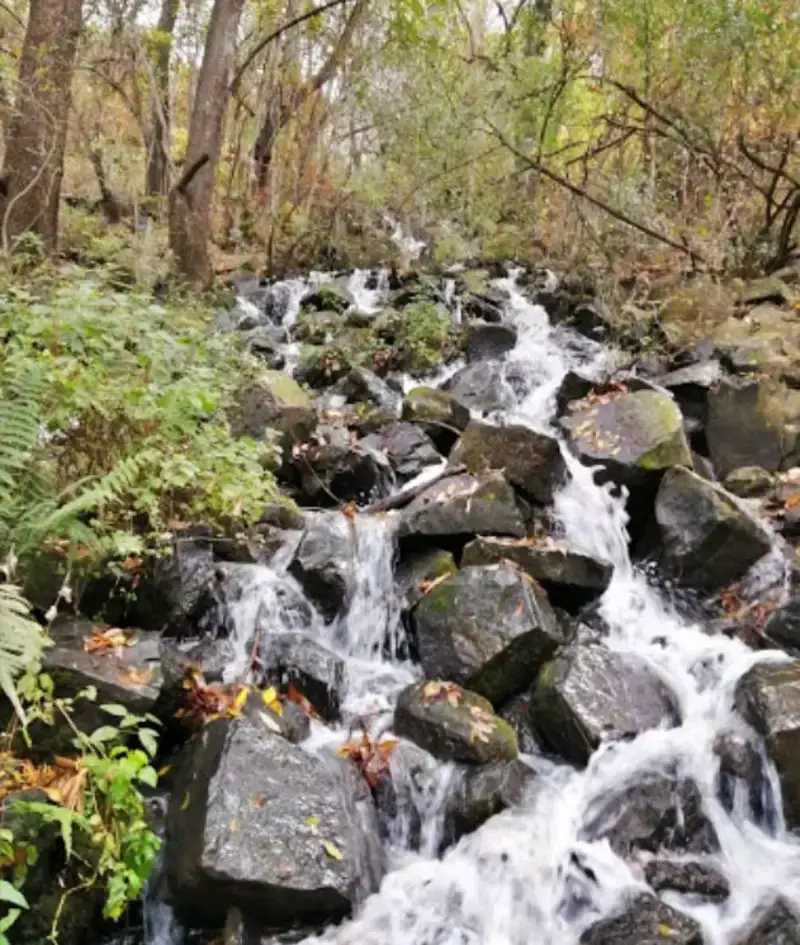 Barranca de Aguacatitla, aventúrate en los otros prismas de Huasca