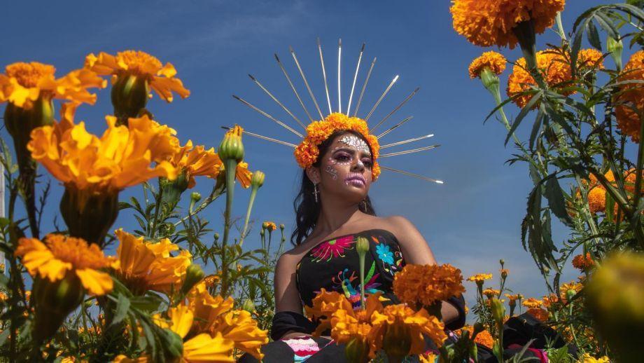Festival de las Flores: la celebración de los campos llenos de color, este fin de semana en Hidalgo