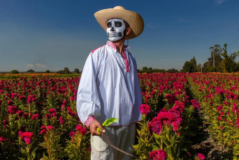 Festival de las Flores: la celebración de los campos llenos de color, este fin de semana en Hidalgo