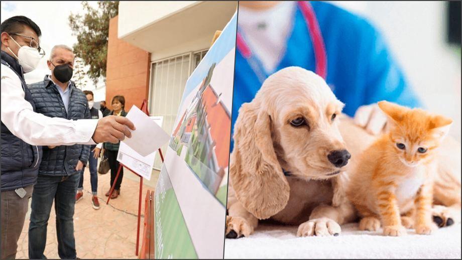 Comienza construcción del Hospital Veterinario de Pachuca; esto tendrá