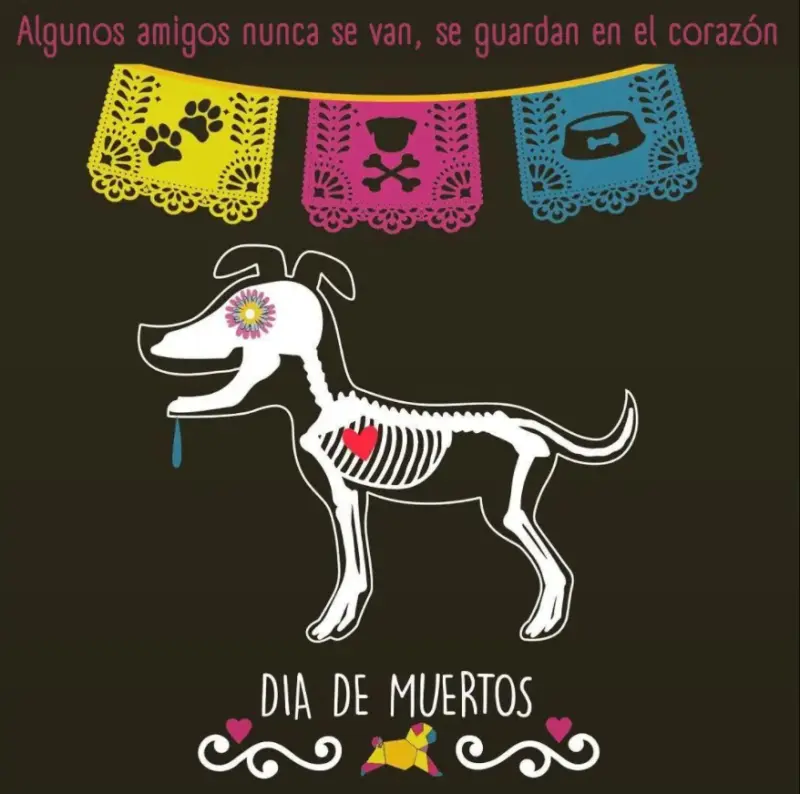 Este 27 de octubre nos visitan las mascotas fallecidas, según la tradición