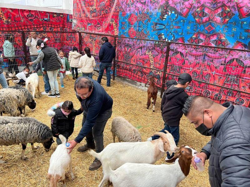 Estas son las atracciones incluidas en tu boleto de entrada la Feria de Pachuca