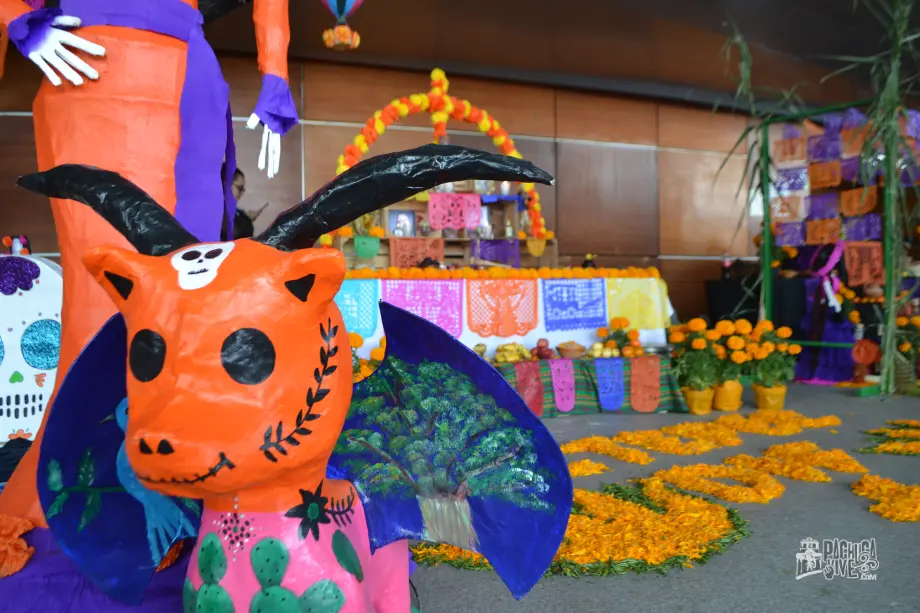 Llegó el Xantolo 2022; así se presentó en Pachuca esta bella tradición hidalguense (fotos y video)