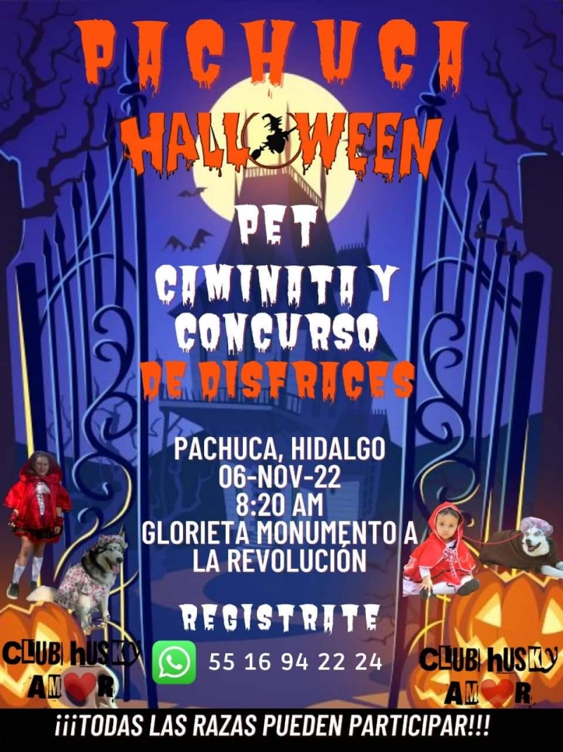 Pachuca Halloween Pet: habrá caminata perruna y concurso de disfraces