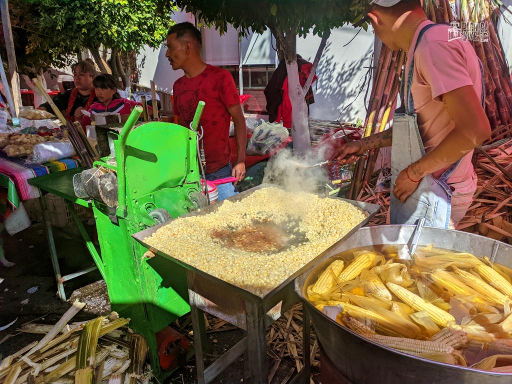 Pachuqueños celebran las fiestas guadalupanas | Galería