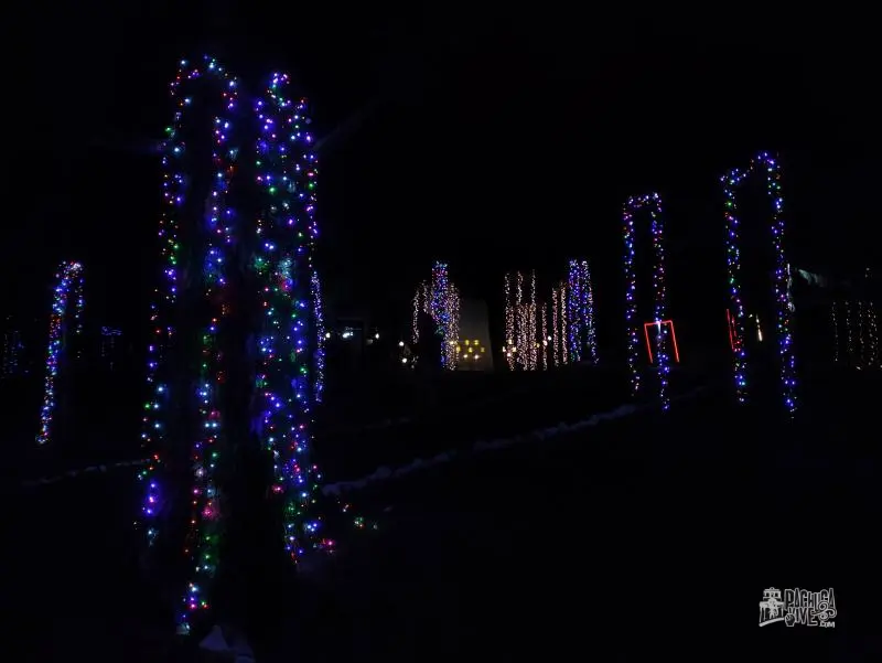 Así es el Bosque Iluminado 2022, la atracción navideña entre árboles cerca de Pachuca