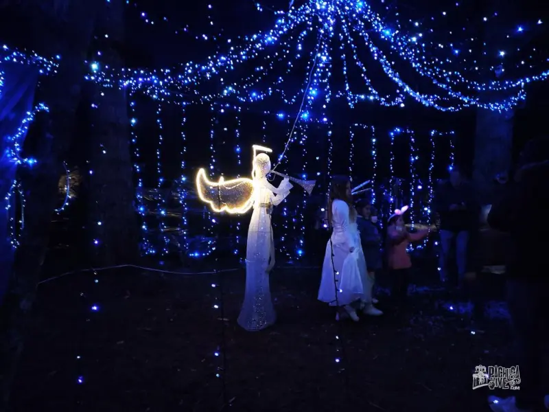 Así es el Bosque Iluminado 2022, la atracción navideña entre árboles cerca de Pachuca